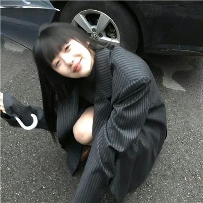 爱猫之城