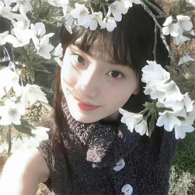 伙伴儿